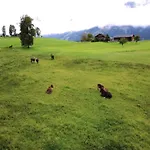 In Near Ski-area With Balcony & Parking Kleinarl