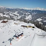 Lägenhet In Near Ski-area With Balcony & Parking Kleinarl