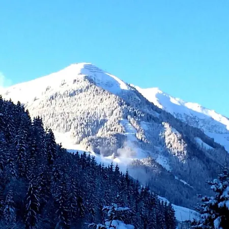 In Near Ski-area With Balcony & Parking Apartament Kleinarl