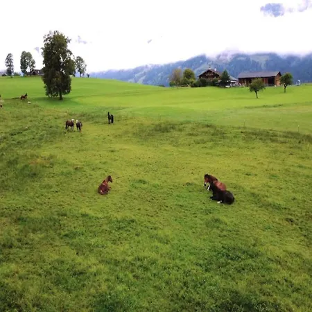 In Near Ski-area With Balcony & Parking Kleinarl