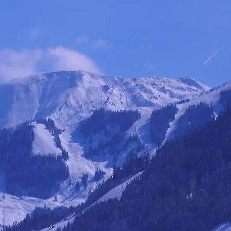 In Near Ski-area With Balcony & Parking Apartmán Kleinarl
