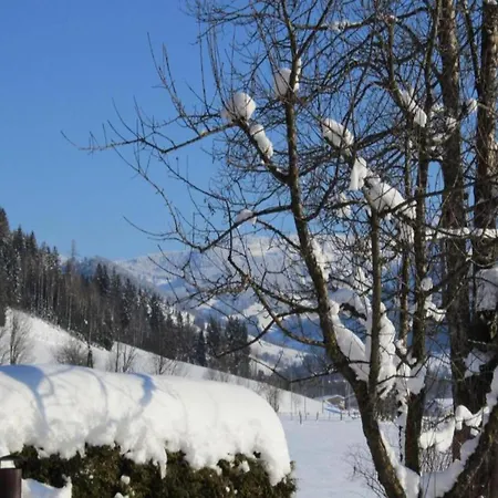 In Near Ski-area With Balcony & Parking * Kleinarl