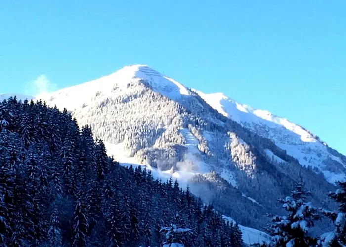 In Near Ski-area With Balcony & Parking Apartman Kleinarl