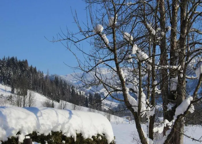 In Near Ski-area With Balcony & Parking Lejlighed
