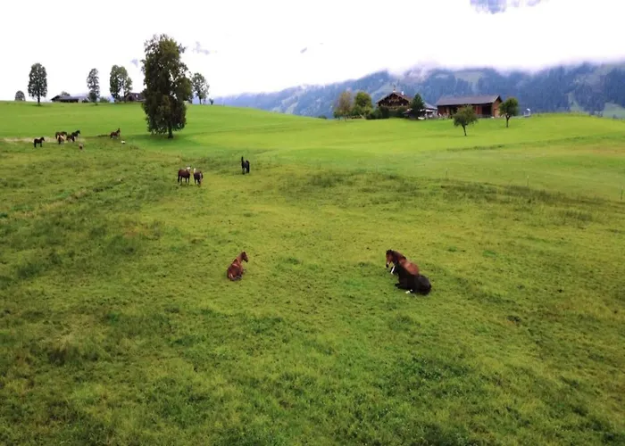 In Near Ski-area With Balcony & Parking Kleinarl